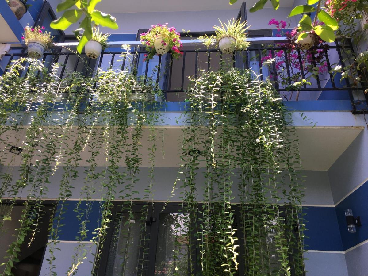 Cherry Garden Homestay 会安 外观 照片