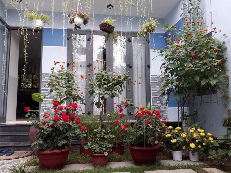 Cherry Garden Homestay 会安 外观 照片