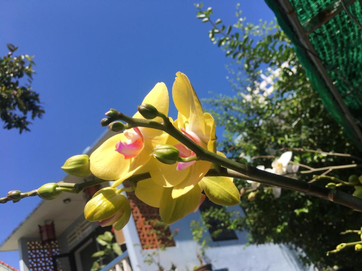 Cherry Garden Homestay 会安 外观 照片