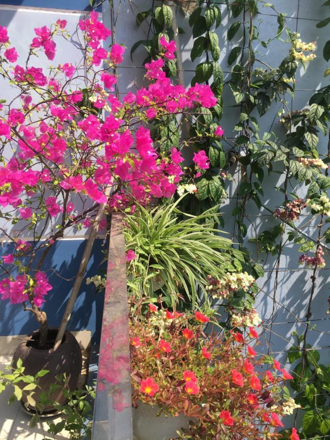 Cherry Garden Homestay 会安 外观 照片