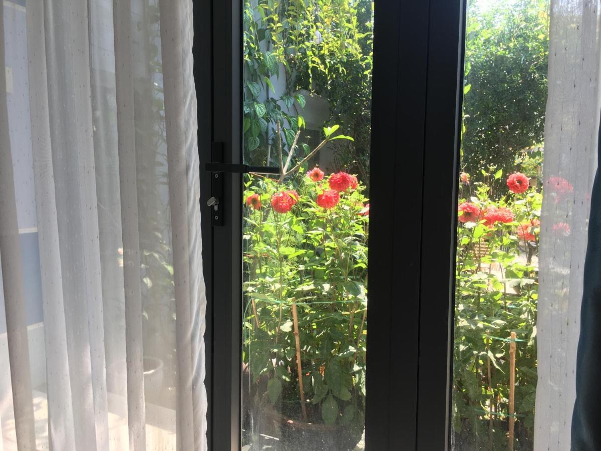 Cherry Garden Homestay 会安 外观 照片