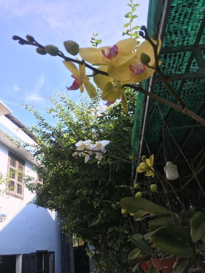 Cherry Garden Homestay 会安 外观 照片