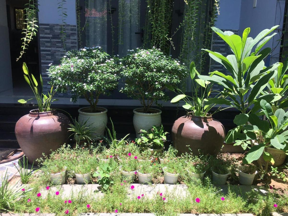 Cherry Garden Homestay 会安 外观 照片