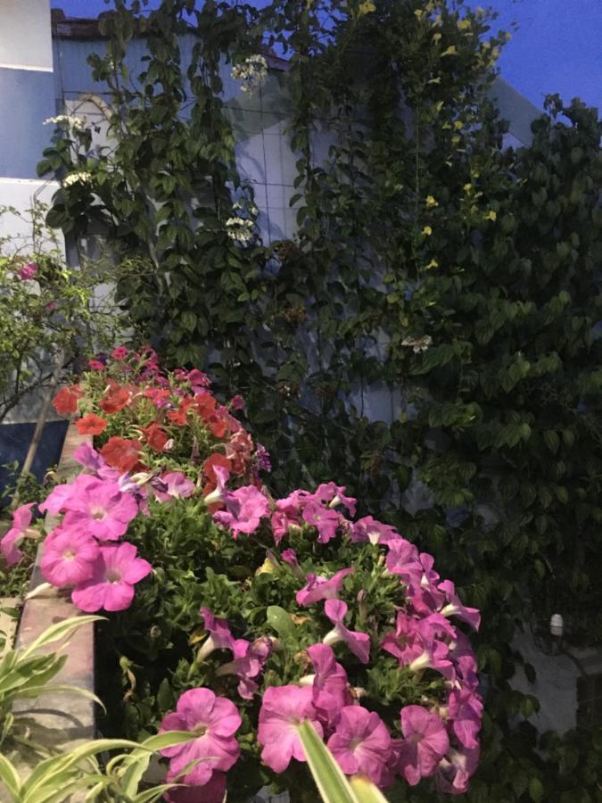 Cherry Garden Homestay 会安 外观 照片