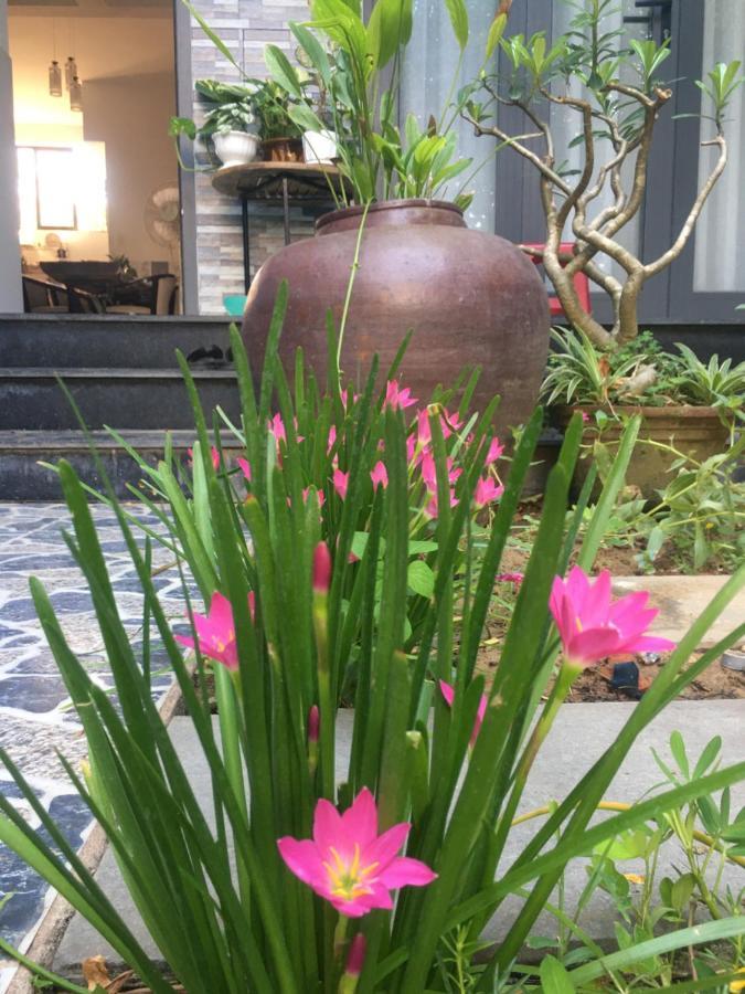 Cherry Garden Homestay 会安 外观 照片