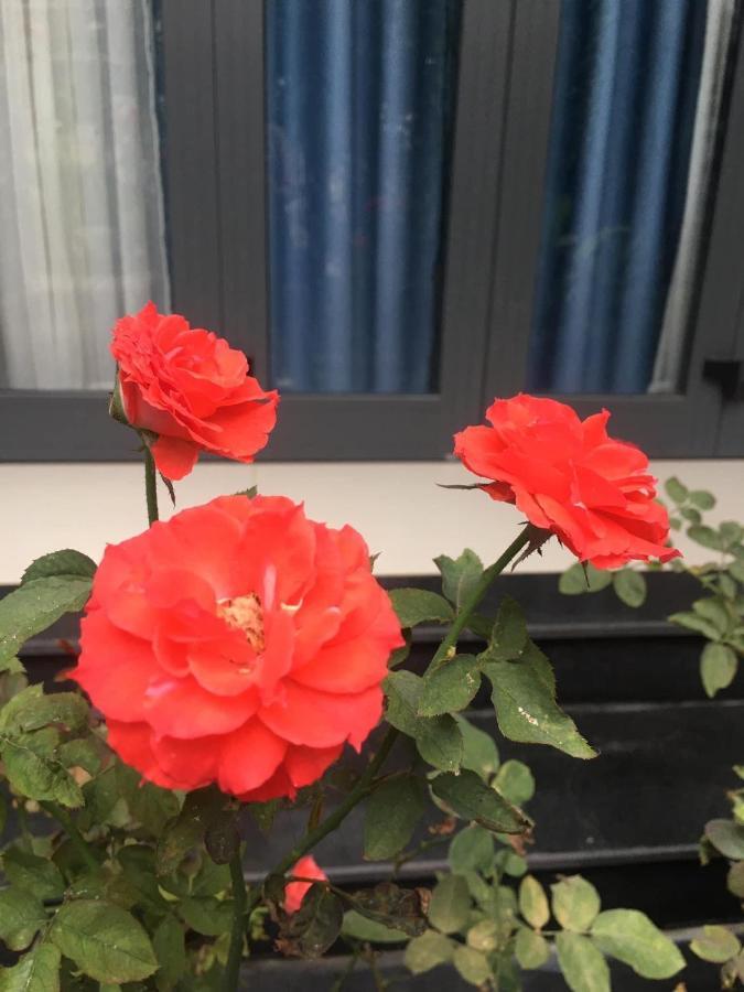 Cherry Garden Homestay 会安 外观 照片